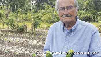 Gardener to harvest 100 years | Around Pc | thepointecoupeebanner.com - Pointe Coupee Banner
