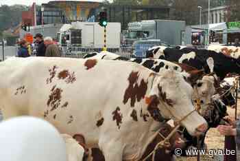 Muziek, verenigingen en dierenkampen op 90ste jaarmarkt (Boechout) - Gazet van Antwerpen Mobile - Gazet van Antwerpen