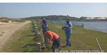Em comemoração ao Dia da Árvore, Meio Ambiente de Imbituba realiza o plantio de 300 mudas nativas e alerta para árvores “exóticas invasoras" - Portal AHora