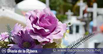 Flores para Todos los Santos - Diario de la Ribera