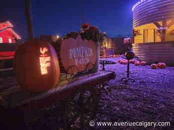 5 Things to Do in Calgary During the Thanksgiving Long Weekend - Avenue Calgary