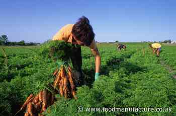 Fresh produce group criticises PM's migrant labour plans