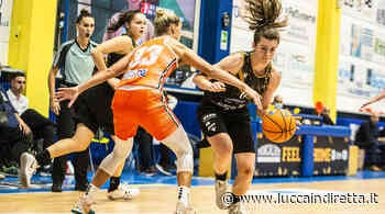 Gesam Gas e Luce Lucca lotta ma cede a Famila Schio - Luccaindiretta - LuccaInDiretta