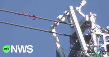 "Krullen" op hoogspanningslijn Kinrooi-Maaseik moeten vermijden dat vogels tegen de lijn vliegen - VRT NWS