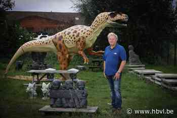 Kinrooise dino is verkocht en verhuist naar Apeldoorn - Het Belang van Limburg