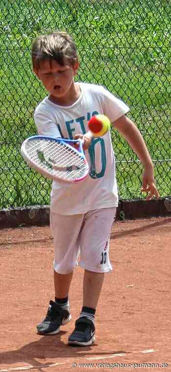 Steinen: Das 50-jährige Bestehen im Blick - Steinen - www.verlagshaus-jaumann.de