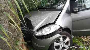 Bei Stade - Rentnerin (80) bei Unfall im Alten Land verletzt - BILD