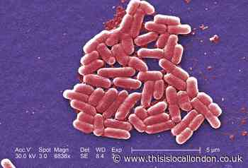 E. Coli symptoms to know amid water contamination in Surrey and Kent