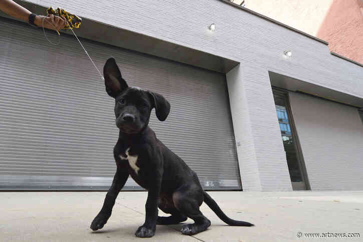 Galleries Form International Alliance, a Big-Money Caravaggio Mystery, and More—Morning Links for October 8, 2021