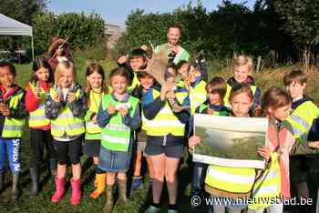 Iedereen mag meezoeken naar sporen uit ijstijd: “Je vindt hier schelpjes van 12.000 jaar oud”