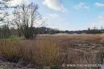 Overstromingsbekken beschermt tegen wateroverlast én helpt boeren aan water bij droogte