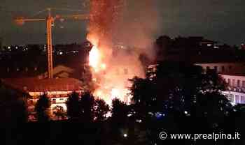 Gallarate, il cedro brucia come una torcia - La Prealpina