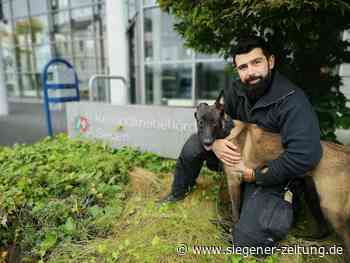 Vier Pfoten im (Probe-)Einsatz: So schlägt sich Polizeihundanwärterin Freya - Siegener Zeitung
