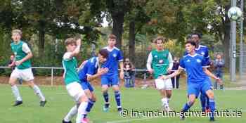 13:1 Tore bei vier Siegen: Die Top-Vier-Nachwuchsteams der Schnüdel mit weißer Weste – Lokale Nachrichten aus Stadt und Landkreis Schweinfurt - inUNDumSCHWEINFURT_DE