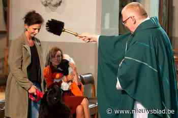 Hondengeblaf in de kerk stoort niet