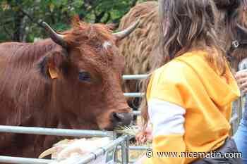 La foire agricole fera battre le cœur de Breil-sur-Roya dimanche