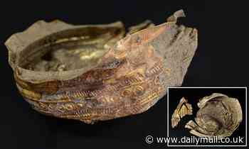 Golden sun bowl from 3,000 years ago sheds light on mysterious prehistoric 'Urnfield' culture
