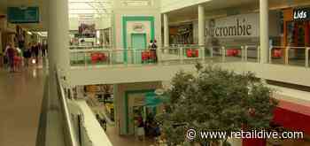 7 mall stores you forgot about - Retail Dive