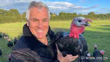 Why Britain should get used to empty gas stations and bare shelves