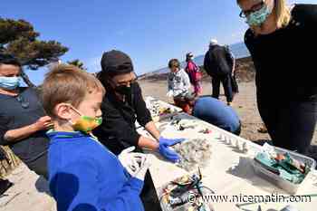 Vos 3 propositions pour gagner la bataille de la propreté à Hyères