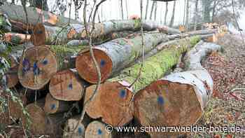 Nagolder Stadtwald: Diskussion über geplanten Einschlag