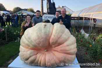 Pompoen van Mario is klaar voor weging in Duitsland