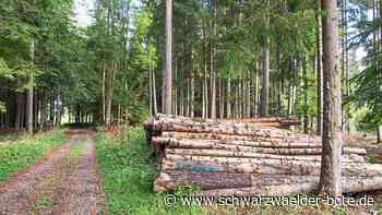 Forstwirtschaft in Neuweiler: "Jetzt schon nach  Bäumen schauen"
