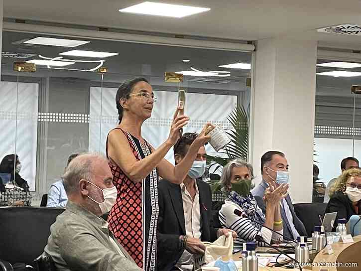 En conseil municipal, les écolos critiquent la politique du maire de Nice et lui offrent un pot de peinture verte