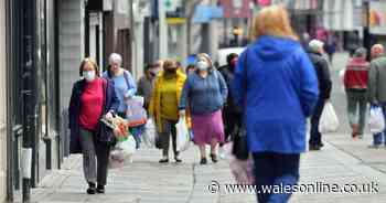 Coronavirus infection rates, cases and deaths for all parts of Wales on Friday, October 8 - Wales Online