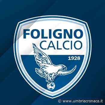 Foligno, i Falchetti in trasferta contro l'Arezzo - Il quotidiano che racconta l'Umbria - Umbria Cronaca