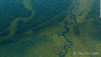 Facebook will now ban the sale of protected Amazon rainforest land on Marketplace