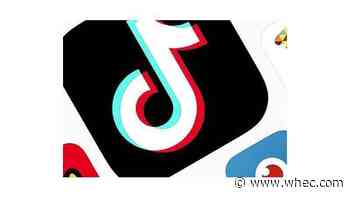 Morelle calling on TikTok to remove 'dangerous content' amid destructive school challenges