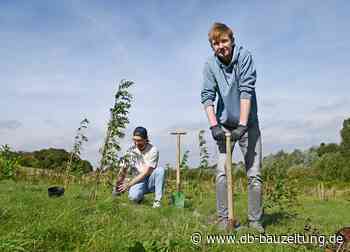 ErstTree-Projekt: Architektur-Erstsemester pflanzen Bäume in Dortmund - db deutsche bauzeitung
