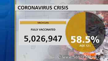 Michigan Health Officials Report 8409 Coronavirus Cases, 82 Deaths - 9 & 10 News - 9&10 News