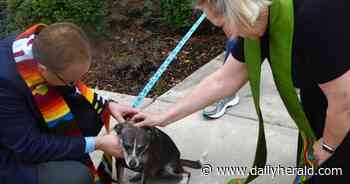 Aurora churches partner to bless 20 pets - Chicago Daily Herald