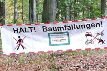 Wälder bleiben ab Montag gesperrt - Freie Presse