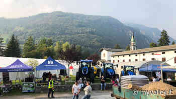 Clusone, il ritorno della Mostra zootecnica - MyValley.it notizie! - MyValley.it