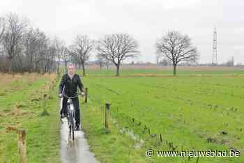 Feestelijke Zuidranddag met reuzen en natuur (Aartselaar) - Het Nieuwsblad