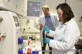 Zehn Jahre Fraunhofer-Projektgruppe: „Die Zukunft operiert in Mannheim“ - Mannheim - Nachrichten und Informationen - Mannheimer Morgen