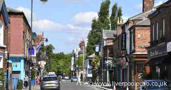Vegan food festival with 30 stalls to take over Lark Lane next month - Liverpool Echo