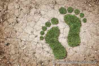 Anti-greenwashing project launches for UK food and drink sector - FoodNavigator.com