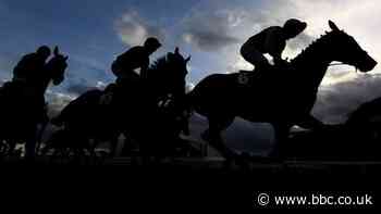 New rules aimed at ensuring racehorses do not enter food chain - BBC Sport