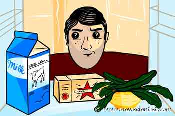 Why some people find it so hard to find food in the fridge - New Scientist