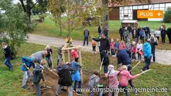Tag des Baumes: Kreis Neu-Ulm spendiert Weißenhorner Birne und Winterlinde - Augsburger Allgemeine