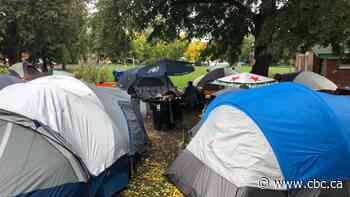 Homeless encampment supporters banned from all city-run parks, community centres feel 'targeted'