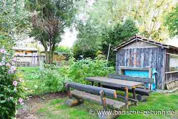 Behörde will Zeit geben für Suche nach Lösungen für Kleingärten - Kenzingen - Badische Zeitung