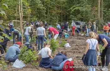 Neue Bäume für die Dölauer Heide: Hallenserinnen und Hallenser pflanzen Stieleichen und Hainbuchen - H@llAnzeiger