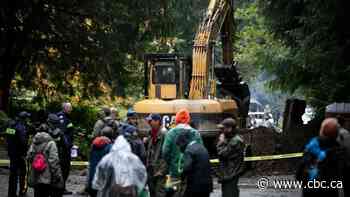 Judge grants temporary injuction at B.C. logging site, citing economic harm to logging company