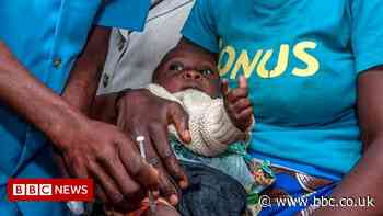 Malaria vaccine: When will it be available?