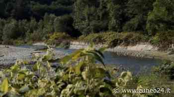 A Fossano si organizzata “ Viviamo il parco: una giornata da dedicare al nostro fiume”. - Cuneo24
